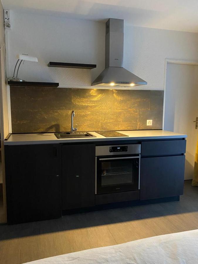 Mfh Micro Appartement Bazel Buitenkant foto